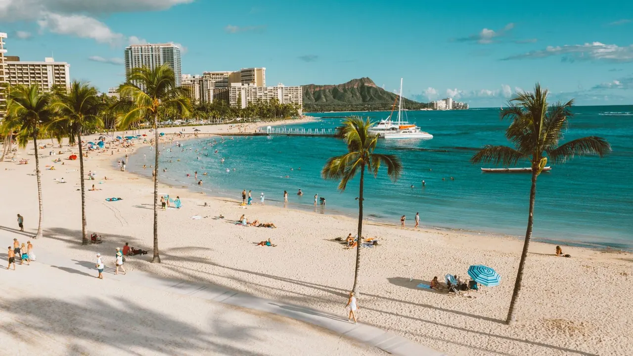 Palms on Waikiki Beach, Honolulu