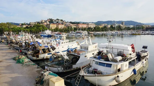 Fishing boats in the harbour, La Spezia