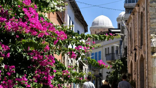 Bougainvillea and the dome of Agia Napa Cathedral, Limassol