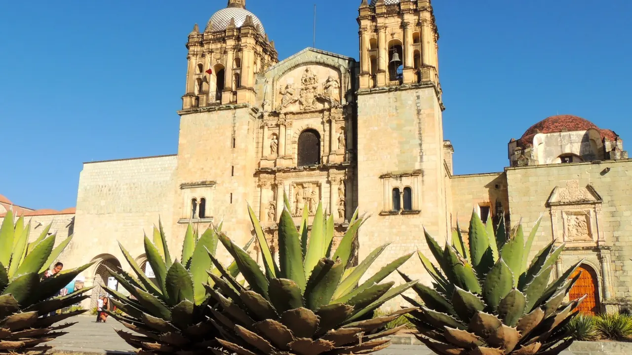 Santo Domingo church behind agaves, Oaxaca