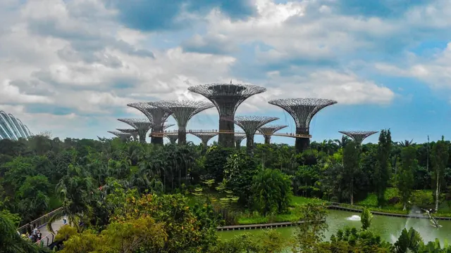 The Supertrees, Gardens by the Bay, Singapore