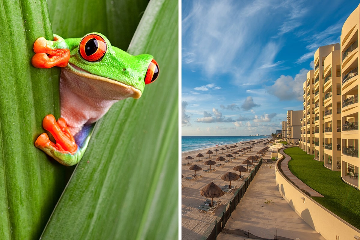 Costa Rica vs. Cancun