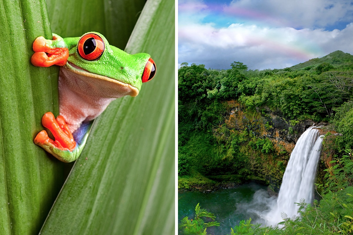 Costa Rica vs. Hawaii
