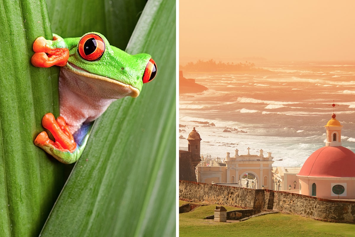 Costa Rica vs. Puerto Rico