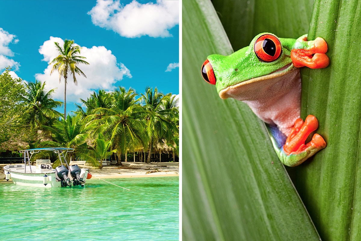 Dominican Republic vs. Costa Rica