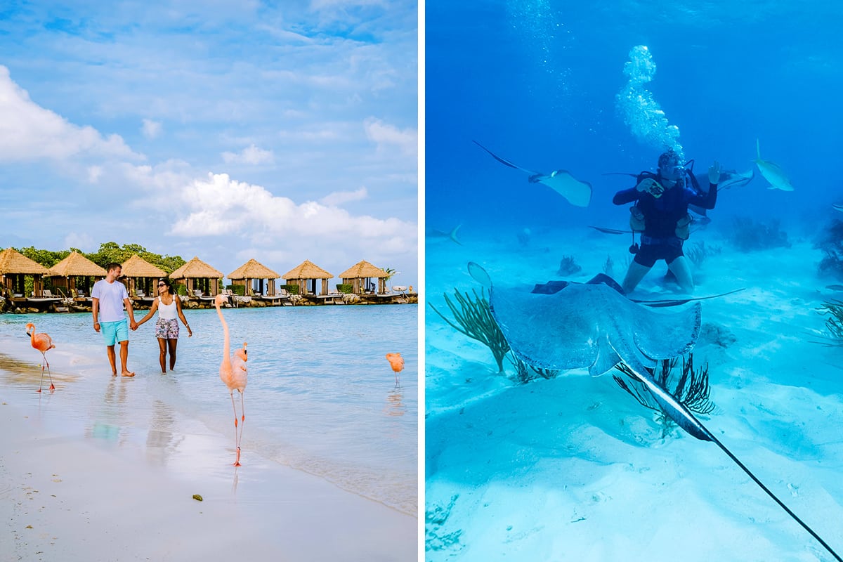 Aruba vs. Grand Cayman