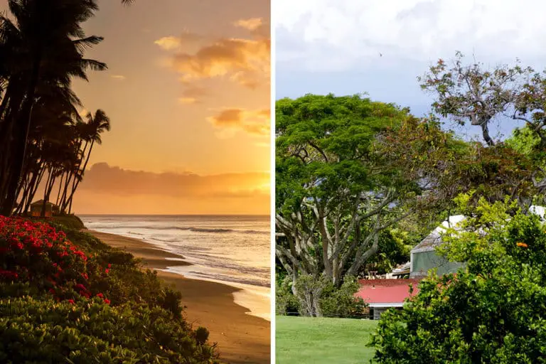 Maui vs. Kona