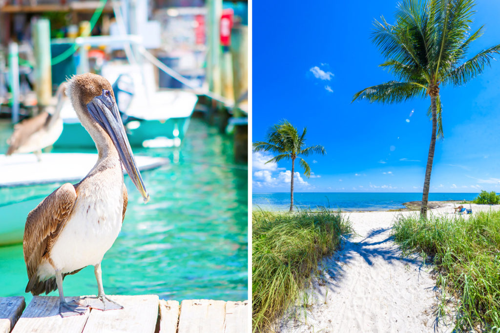Islamorada vs. Marathon
