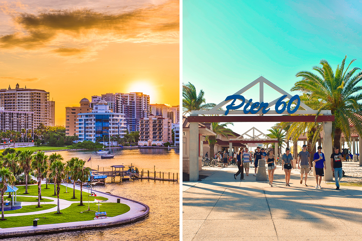 Sarasota vs. Clearwater