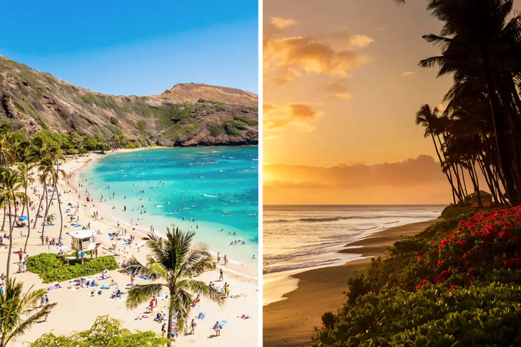 Oahu vs. Maui