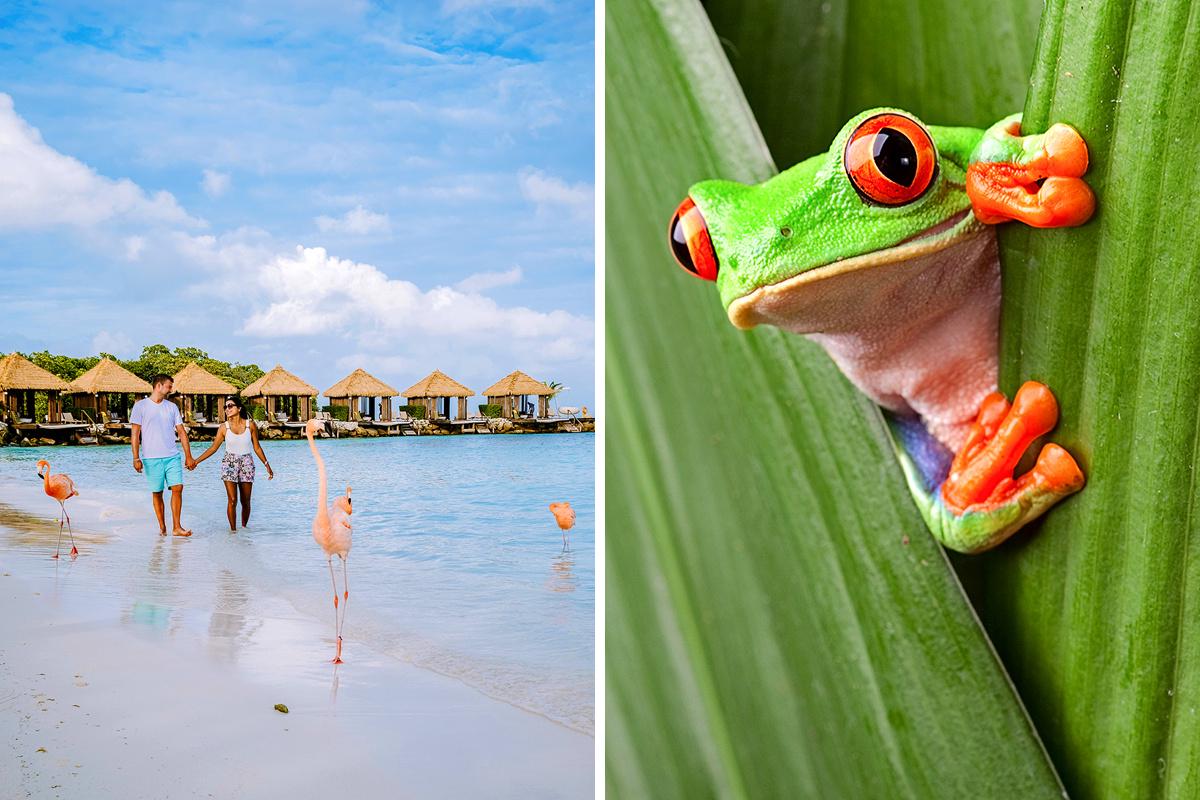 Aruba vs. Costa Rica