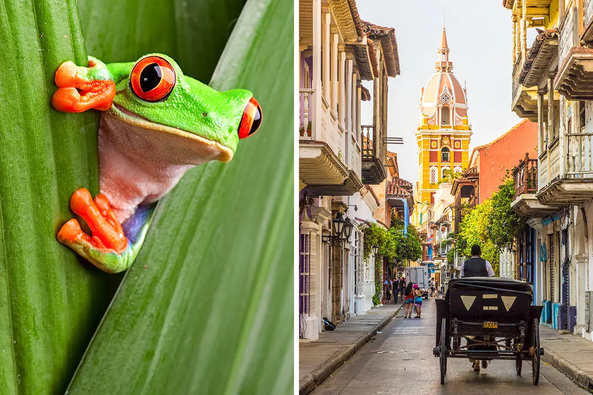 Costa Rica Vs. Colombia For Vacation - Which One Is Better?