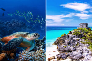 Cozumel vs. Tulum