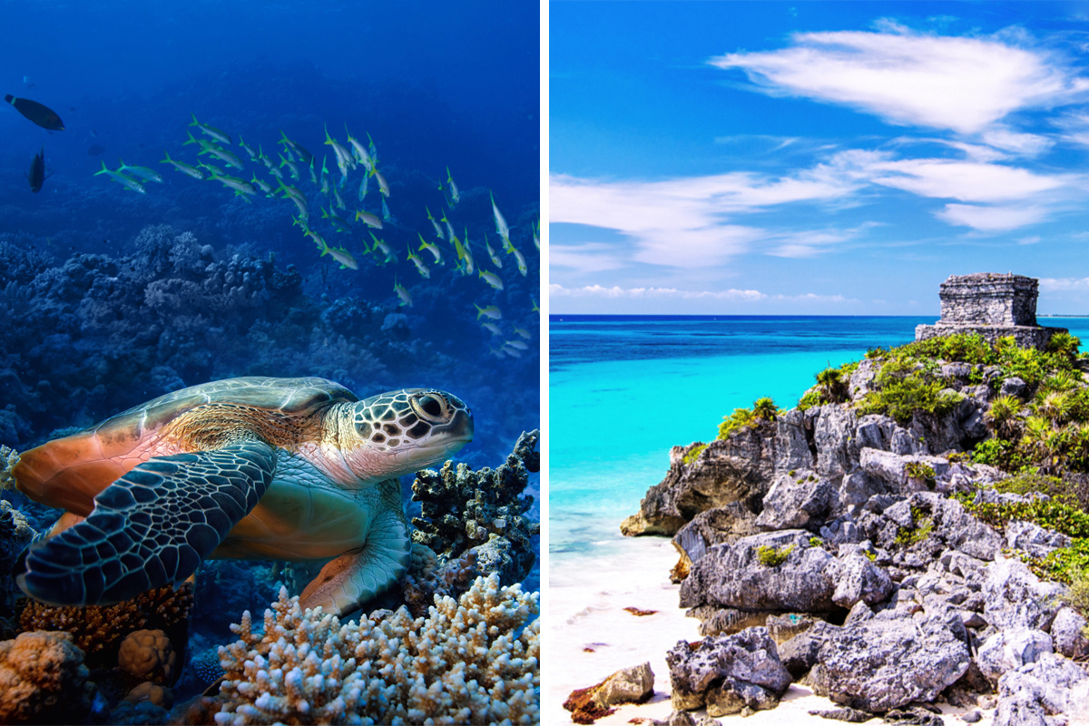 Cozumel vs. Tulum for Vacation - Which one is better?