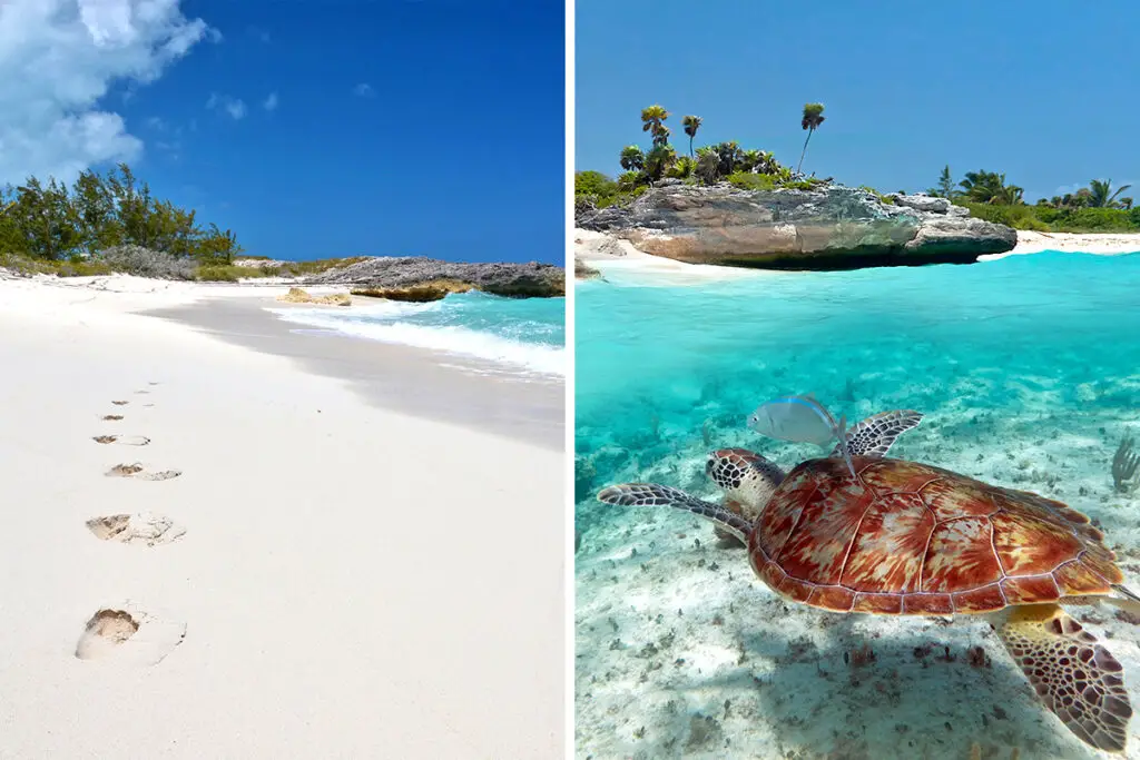 Bahamas vs. Mexico