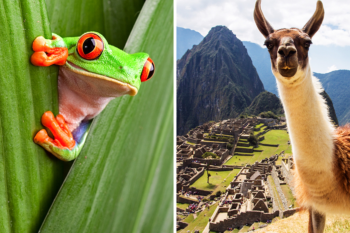Costa Rica vs. Peru