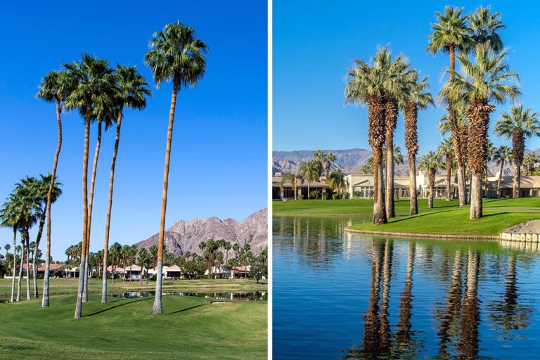 Palm Springs vs. Palm Desert