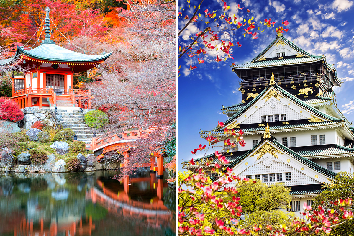 Kyoto vs. Osaka