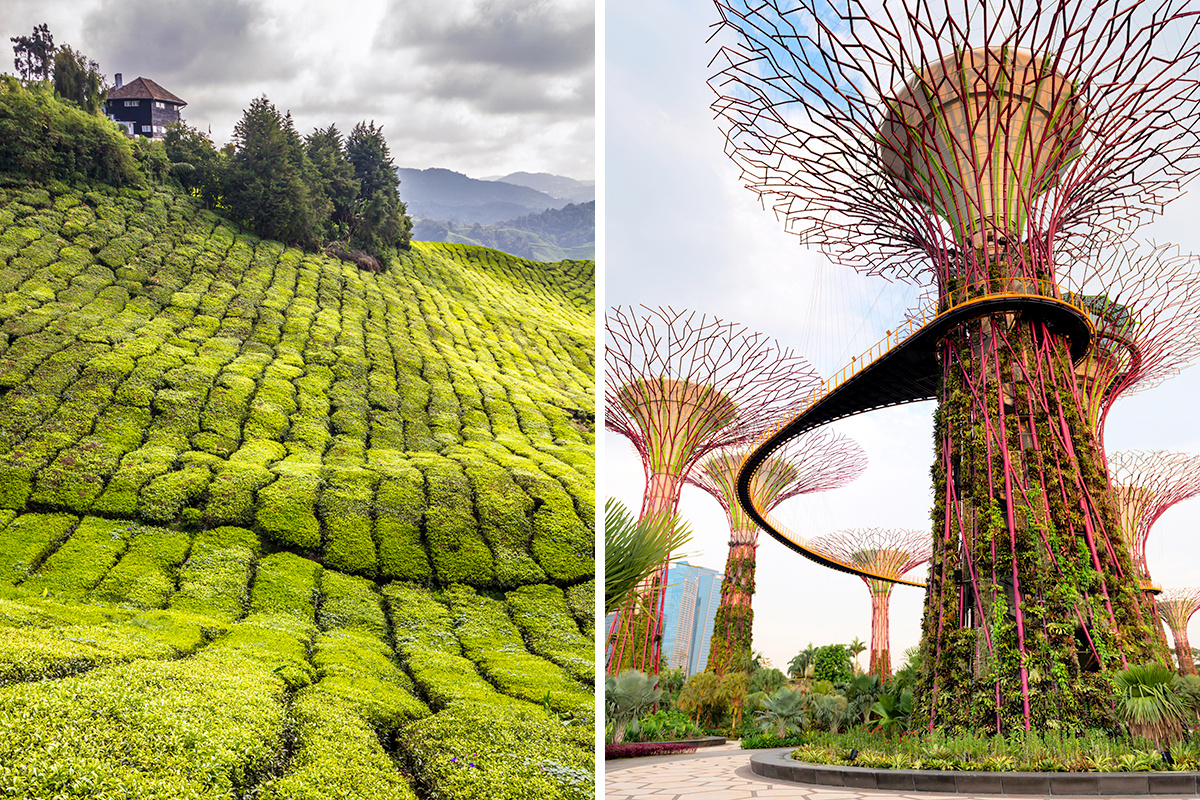 Malaysia vs. Singapore