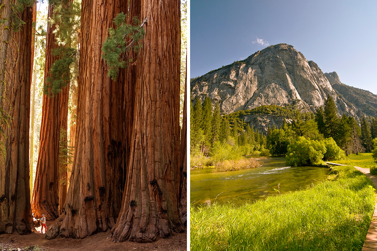 Sequoia vs. Kings Canyon National Park