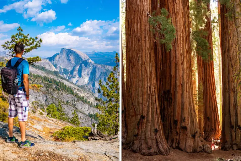 Yosemite vs. Sequoia