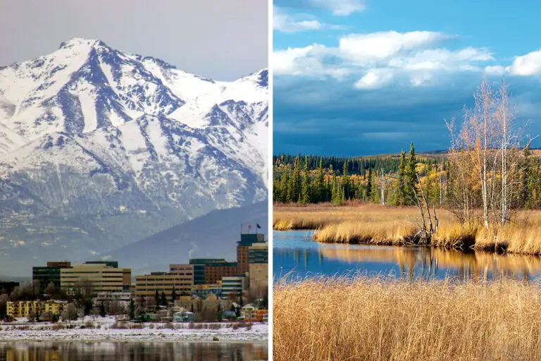 Anchorage vs. Fairbanks