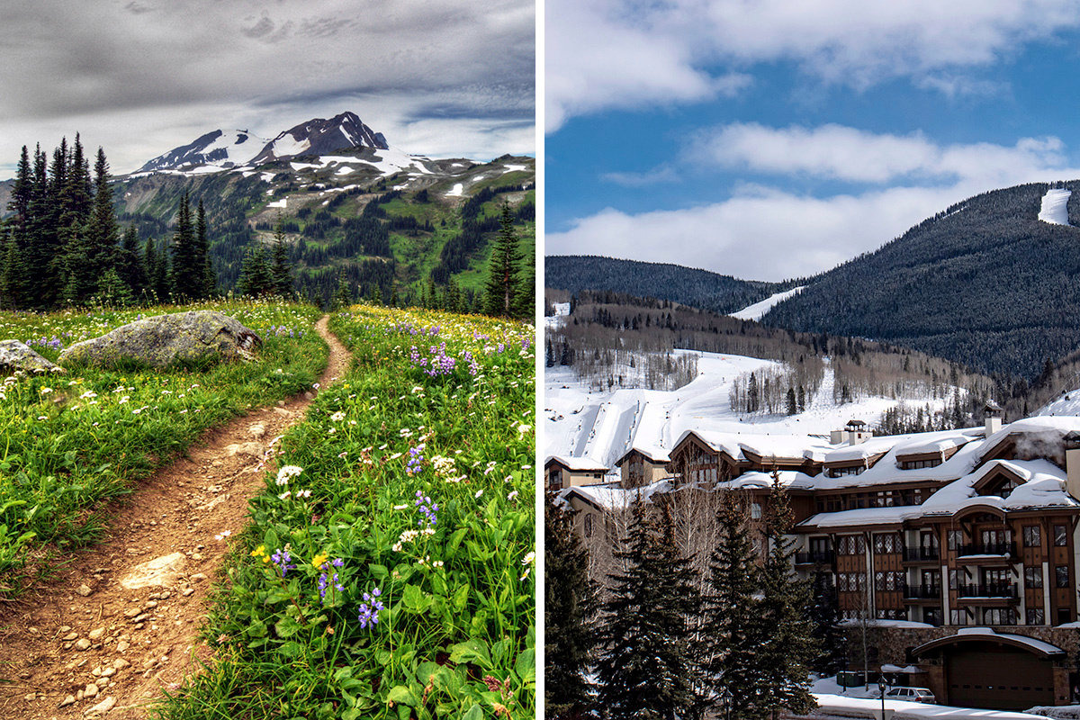 Whistler vs. Vail