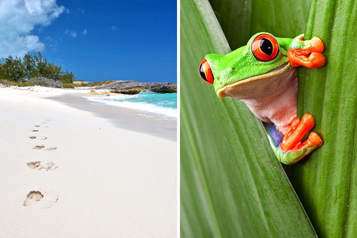 Bahamas vs. Costa Rica