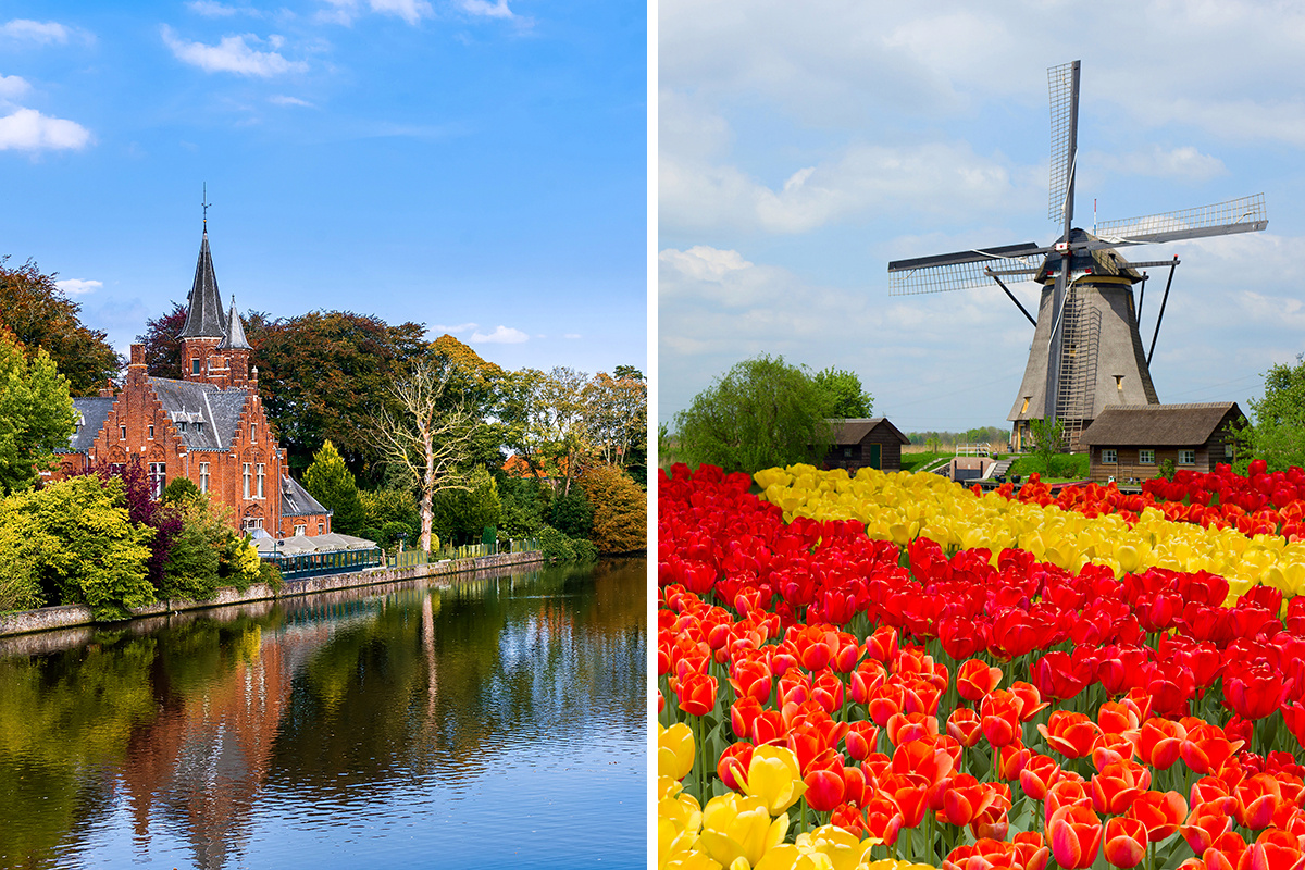 Belgium vs. Netherlands