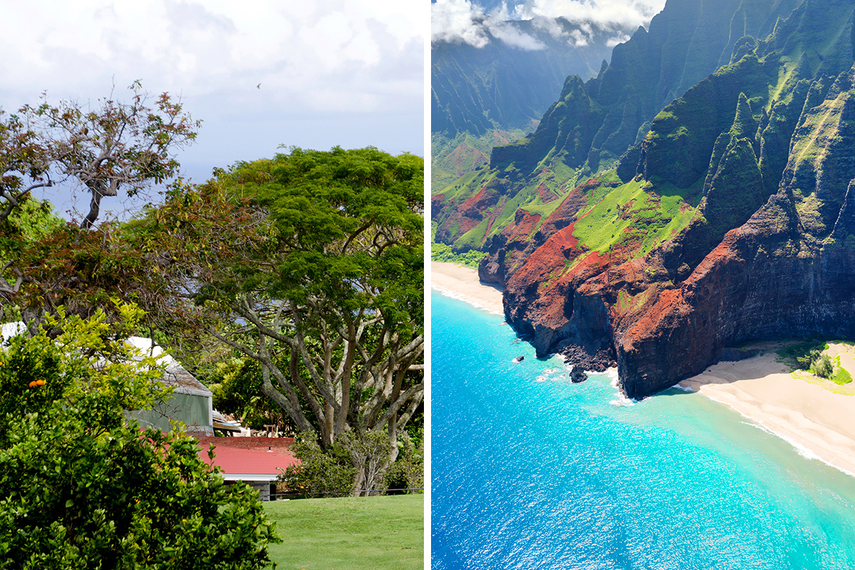 Kona vs. Kauai
