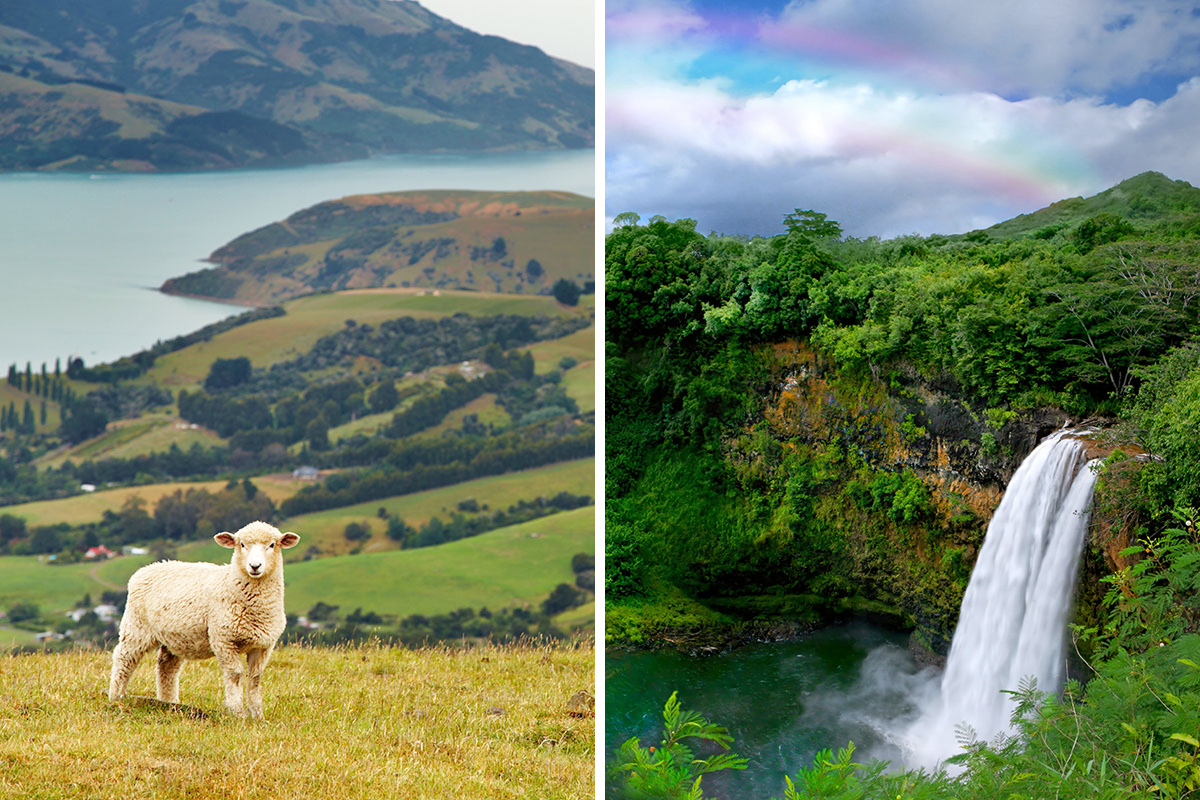 New Zealand vs. Hawaii