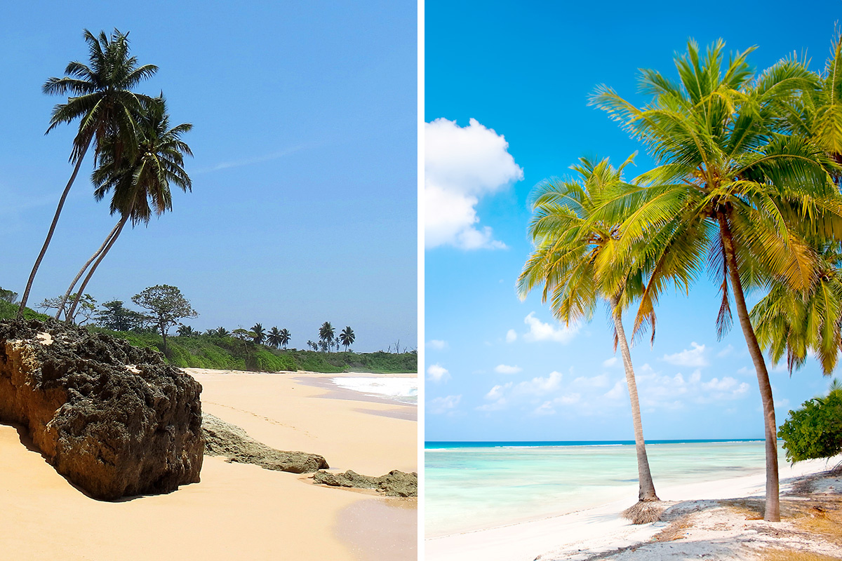 Andaman vs. Lakshadweep