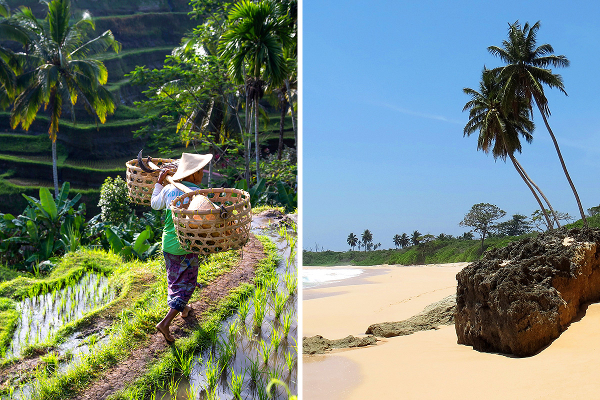 Bali vs. Andaman