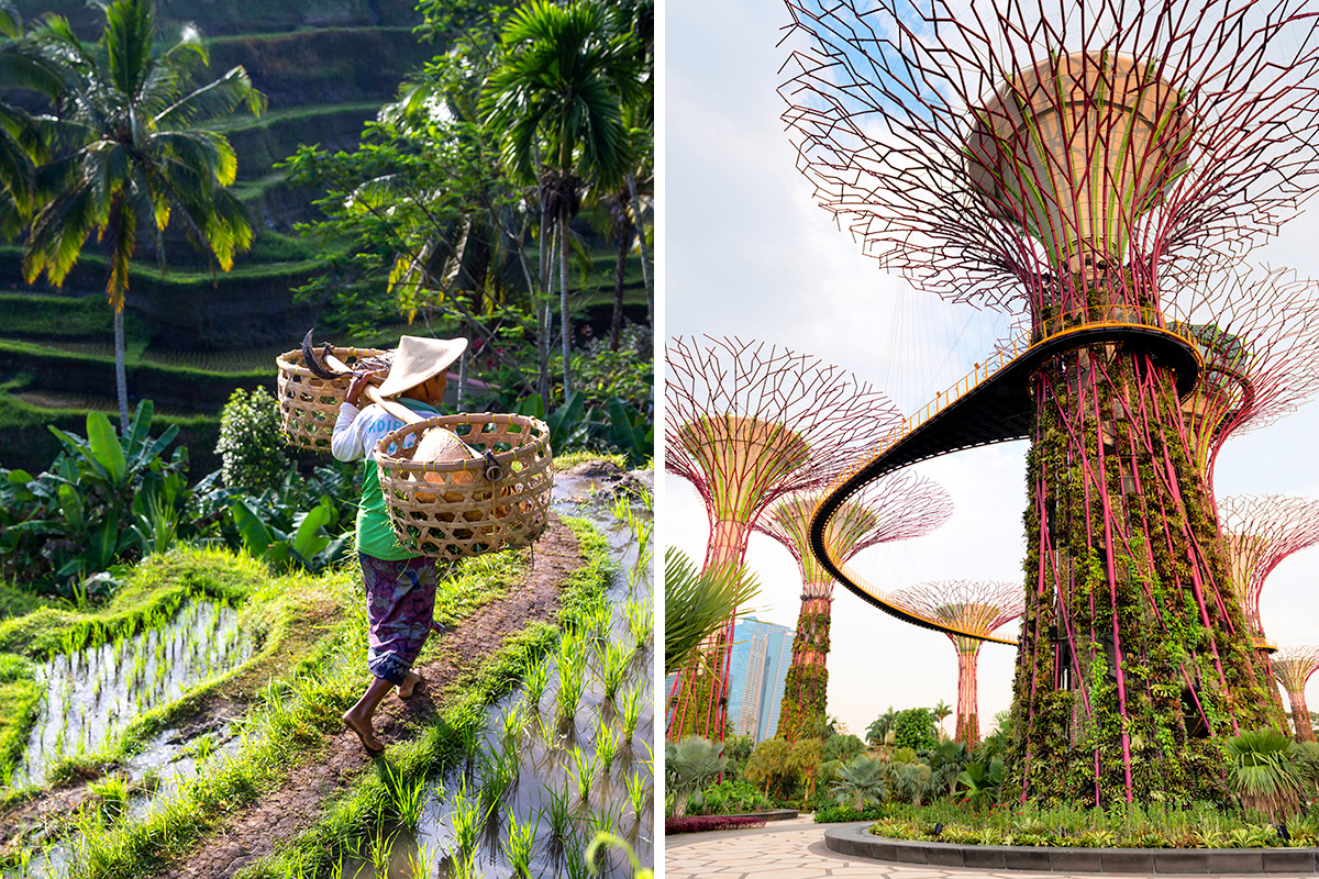 Bali vs. Singapore