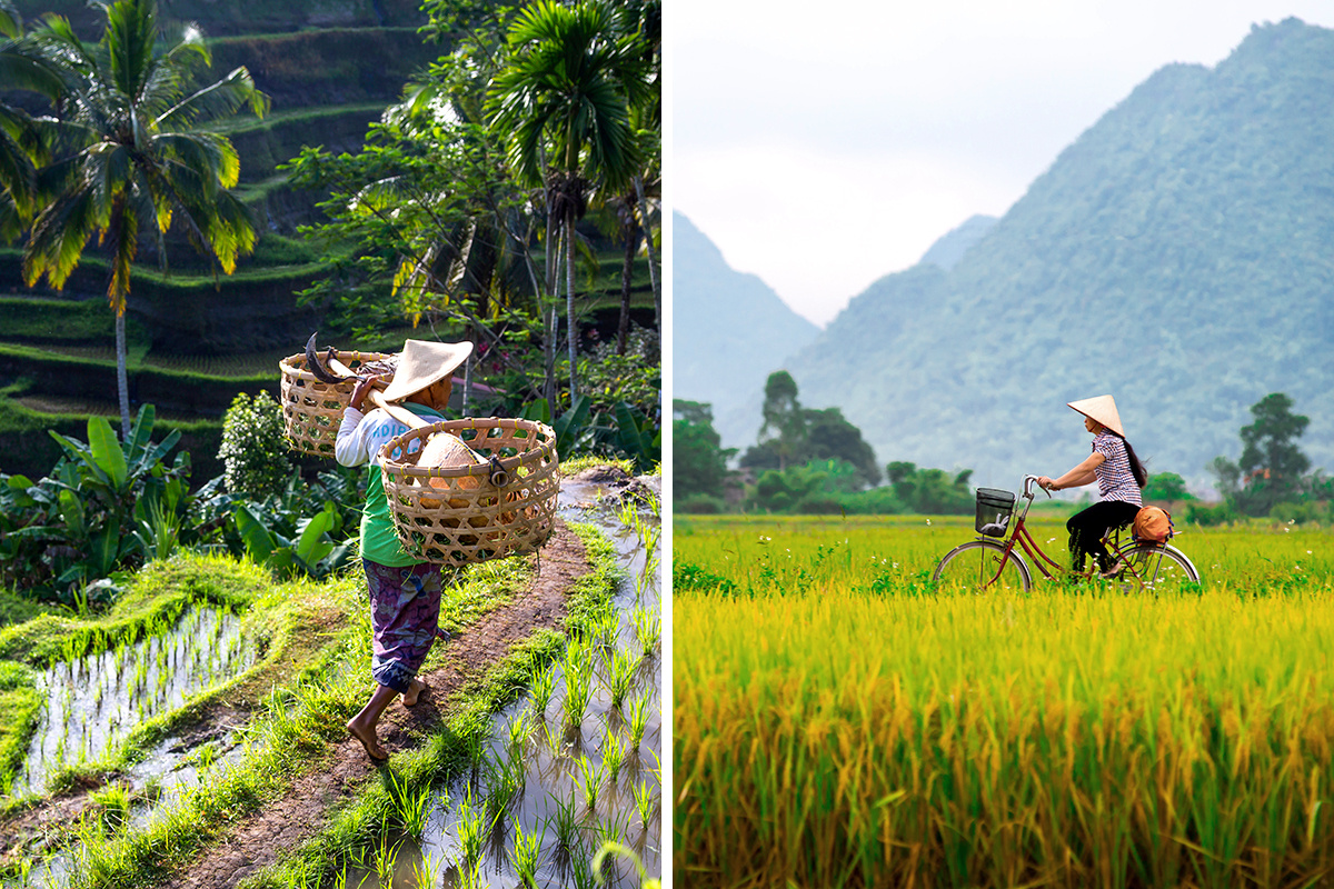 Bali vs. Vietnam
