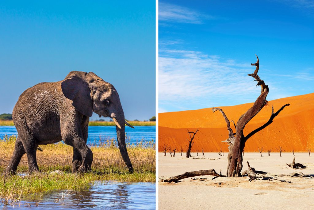 Botswana vs. Namibia