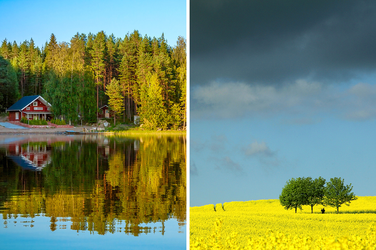 Finland vs. Denmark