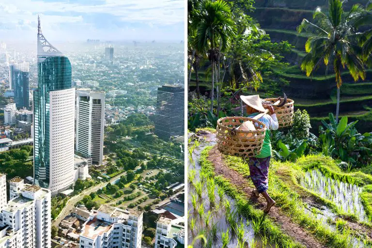 Jakarta vs. Bali