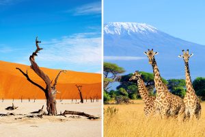 Namibia vs. Tanzania