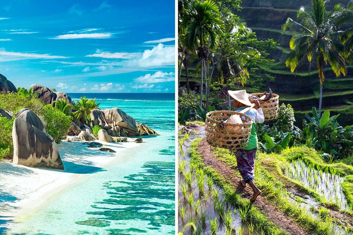Seychelles vs. Bali