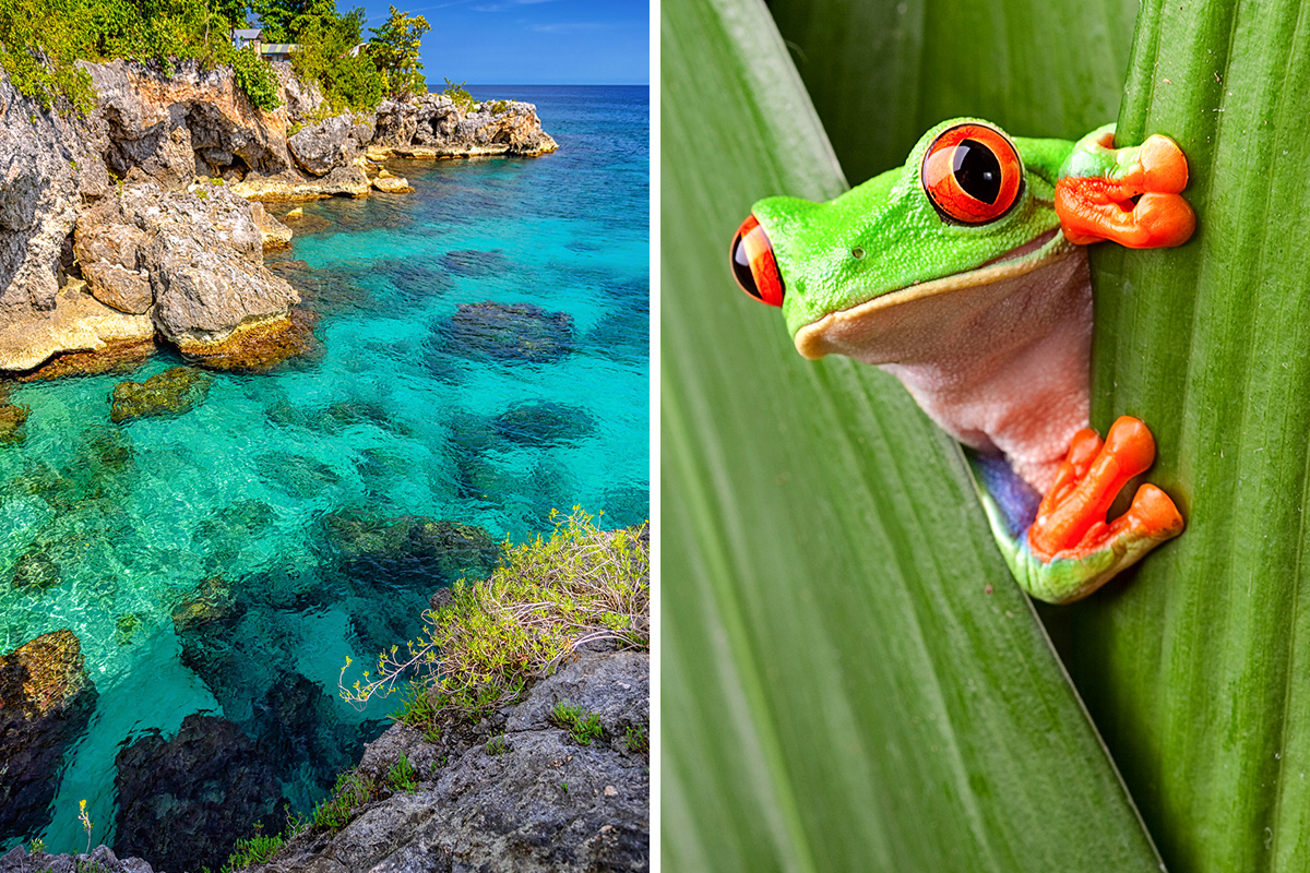 Jamaica vs. Costa Rica
