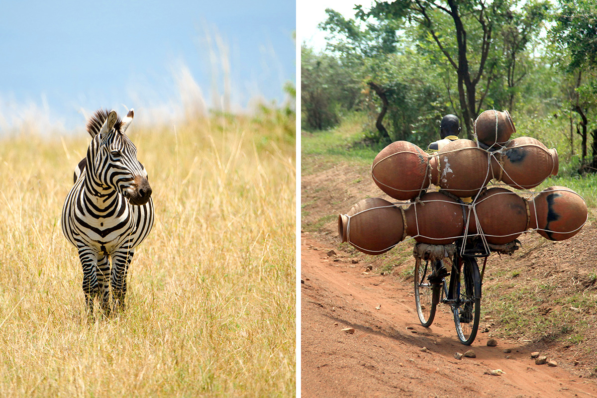 Kenya vs. Uganda