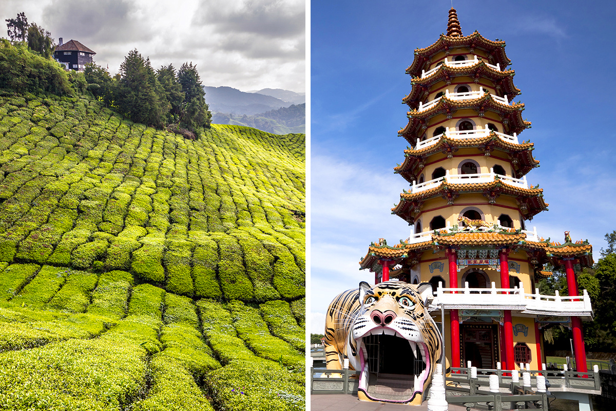 Malaysia vs. Taiwan