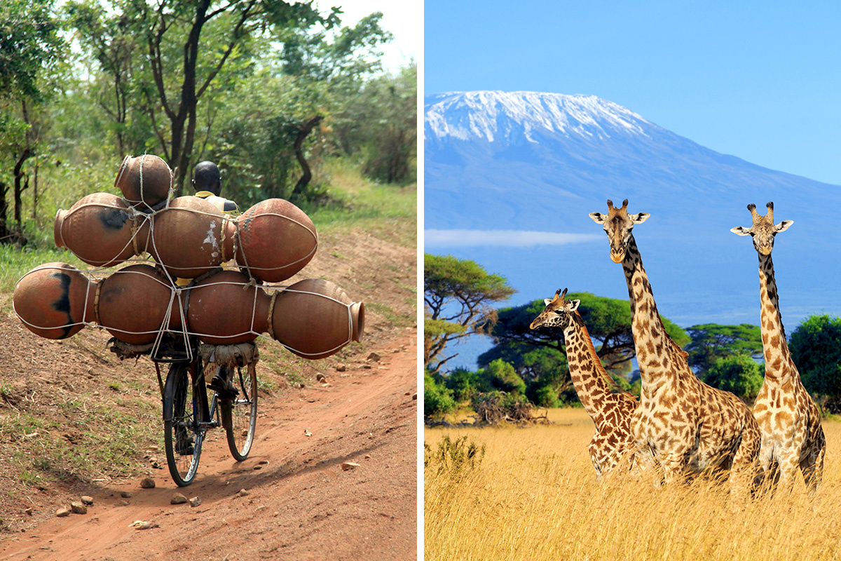 Uganda vs. Tanzania